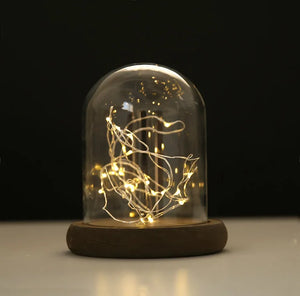 Tabletop Display Glass Cover Terrarium Container Decor Dry Flower Ornaments Craft Bell Jar Wood Base with Feet LED Light Holder