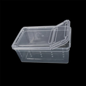 1pc Terrarium for Reptiles Spider Transparent Plastic Feeding Box Insect Lizard Beetle Transport Breeding Food Rearing Container