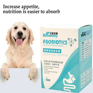 10 Bags/Box PET Nutrition Probiotics Enhance Physical Fitness Protect Stomach Health Powder Food for Dogs and Cats