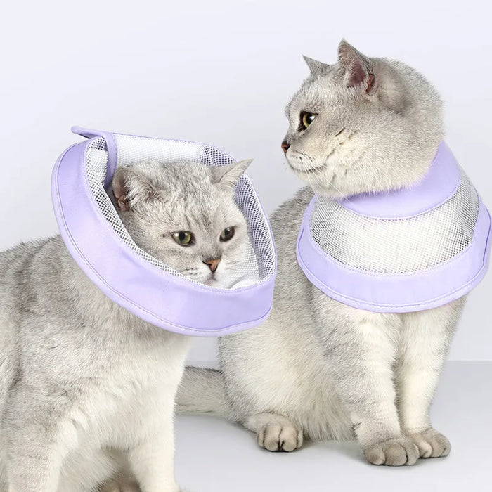 Pet Cat Dogs Health Recovery Elizabethan Cotton Filling Collar Protective Medical Cone E- Collar for Dog and Cat