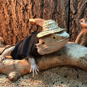 Bearded Dragon Clothes Clothes Costume Clothes Accessories Gifts For Chameleon Juvenile Iguana Hamster Reptile