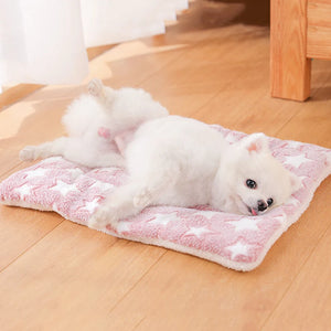 MADDEN Soft Fleece Pet Blanket Double-sided Thickened Pet Sleeping Mat Carpet Warm Cat Dog Bed Mat Home Portable Washable Pets C