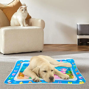 Sensory Water Mat Thickened Sensor Play Water Sensor Cat Mat Pet Supplies Cleaning Cooling Mat Summer Cat Pets Accessories