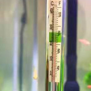 Aquarium Glass Thermometer Stick Sucking Cup Fish  Thermometers Display