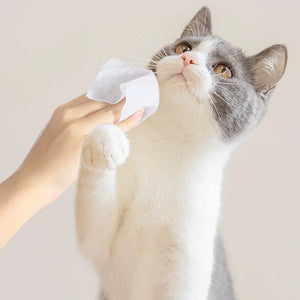 Pet Wet Wipes Dogs Cats Teeth Cleaning Teeth Cleaning Soft Paper Tear Ass Eye Tears Finger Health Care Hygiene Paws Poop 80Pcs