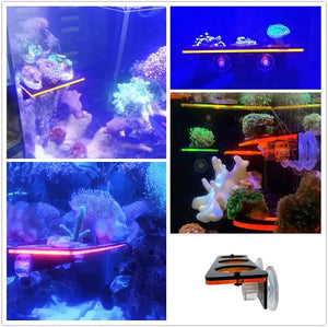 Fluorescent Coral Frag Plug Bracket Growing Holder Acrylic Rack Marine Reef Stand Aquarium Accessories Fish Tank Decoration