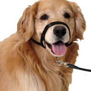 Nylon Dog Muzzle Adjustable Anti-barking Anti-bite Harness Head Collar Muzzle Dog Halter Training Leash Leader Classic Collar