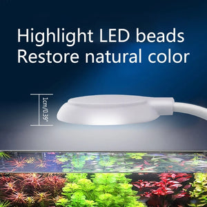 Fish Tanks Clip-on Light Clamp Aquarium Lights LED Beads White and Blue Lights 360-Degree Rotations 5W USB Plugs