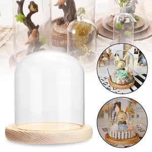 Clear Dome With Wooden Base Tabletop Display Glass Cover Dry Flower Ornaments Craft Dust Bell Jar Terrarium Landscape Vase