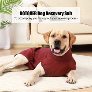 Dog Recovery Suit Post-Operative Vest Pet After Surgery Abdominal Wound Puppy Surgical Clothes Wear Substitute Dog Clothes