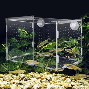 Fish Tank Small Fry Breeding Box Acrylic Fish Isolation Box Spawning Hatching Room Fish Supplies Aquarium Accessories