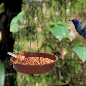 Bird Feeding Dish Tray Platform Feeder Bird Water Bowl Hanging Bird Bath for Outdoor Outside Patio Parrot Tree