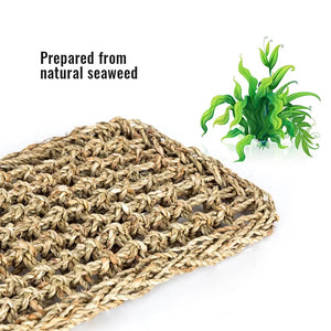 Reptile Hammock Terrarium Decoration For Lizard Lounger Small Hermit Crabs Geckos Bed Birds Reptile Mats Pets Supplies