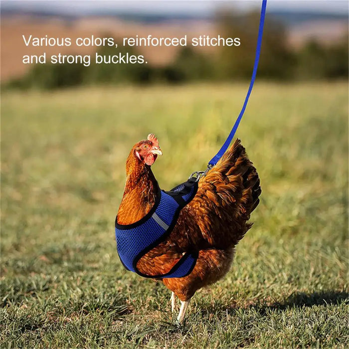 1 Set Chicken Harness  Wearable Poultry Soft Safety Harness  Unisex Duck Leash