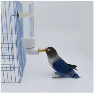 Parrot Drinking Kettle Large Automatic Water Feeder Pet Chinchilla Rabbit Water Cup Outdoor Cage Chickens Bird Drinker