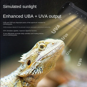 UVA+UVB Reptile Full Spectrum LED Light Turtle Lizard Snake Terrarium Sunbathe Heat Lamp 10.0 20.0 Sun Lamp Sunbathe Heat Lamp