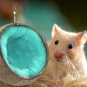 Hamster Coconut Hideout Suspension Coconut Shell Hamster Hideout Small Animal Suspension Coconut Hideout Habitat Decor Pet Cave