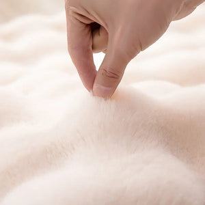 Nordic Soft Fluffy Faux Fur Living Room Area Rug No-Shedding Plush Rugs for Bedroom Sofa Cushion Bedside Floor Mat Room Decor