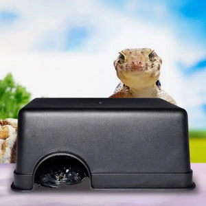 Small Reptiles Amphibians Habitat Pet Plastic Dodge Toy Hideouts Spider Scorpion Snake Frog Lizard Cave Reptile Aquarium Tank