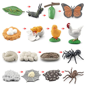 OozDec Life Cycle Learning & Education Montessori Toys, 43 Style Animal Figurines of Frog, Butterfly, Chicken, Mantis, Age 3+