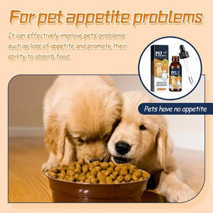 Dog Supplements 60ml Dog Cat Joint Supplement Pet Supplies Health Care Drops For Cats Dogs Enhance Pet Wellness