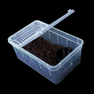 Rearing Box Anti-deformation Ventilated Pet Breeding Cage Hatching Container Small Pet Reptiles Living Box Terrarium Habitat