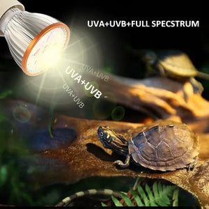 Full Specstrum UVA UVB Reptile Heat Lamp LED UV Lamp for Turtle Lizard Snake Heater Bulb Terrarium Lamp Tortoise 파충류 사육장