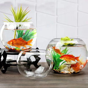 Glass Fish Bowl Desktop Terrarium Small Ball Goldfish Tank Air Plant Vase Succulent Planter