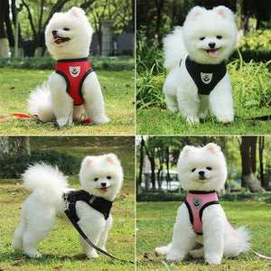 Puppy Cat Vest Harness With Leash Breathable Mesh Pet Chest Straps For Chihuahua York Harnesses Reflective Bulldog Walking Leash