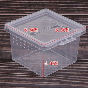 10 Pieces Insect Reptile Spider Terrariums Breeding Box Hatching Containers For Reptile Terrarium Spiders Frogs Snakes Supplies