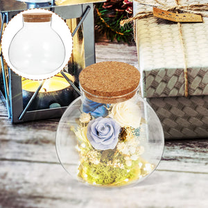 2 Pcs Glass Dome Wooden Base Desktop Decor Clear Case Tiny Covered Topper Ecological Vase Mini Plants Terrarium Succulents