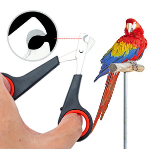 Pet Bird Parrot Clipper Small Animals Accessory Grooming Tool  Nail Scissors