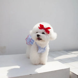 Dog Summer Dress Cat Skirt Pet Clothing Chihuahua Teddy Skirt Puppy Cat Princess Apparel Cute Puppy Clothe Dog Princess Dress