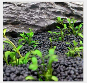 Fish Tank Mud Aquarium Planted Substrate Sand,Water Grass Mud Aquarium Fish Tank Bottom Water Grass Seeds Plant Sand Mud