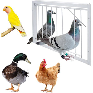 30/40*26cm Pigeon Entrance Door Metal Wire Bars Frame Single Entrance Trapping Doors Cage Pigeon Racing Supplies for Bird Cages