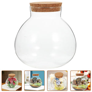 2 Pcs Glass Dome Wooden Base Desktop Decor Clear Case Tiny Covered Topper Ecological Vase Mini Plants Terrarium Succulents