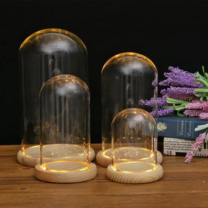 Clear Dome With Wooden Base Tabletop Display Glass Cover Dry Flower Ornaments Craft Dust Bell Jar Terrarium Landscape Vase