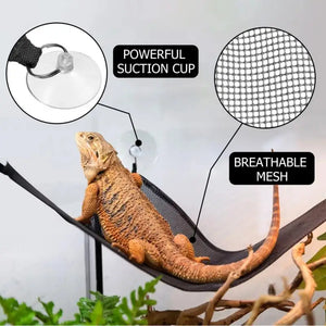 2 Pack Bearded Dragon Hammock Lizard Lounger Ladder Hanging Bed Accessories Reptile Habitat Terrarium Decoration For Be