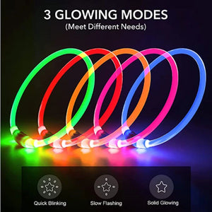 Led Light Dog Collar Detachable Glowing USB Charging Luminous Leash for Big Cat Collar Small Bright Labrador  Pets Dogs Products