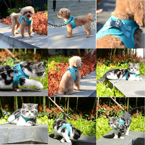 Dog Harness Vest Adjustable Pet Walking Lead Leash Puppy Cat Collars Harness for Small Medium Dog Pet Harness Accessories