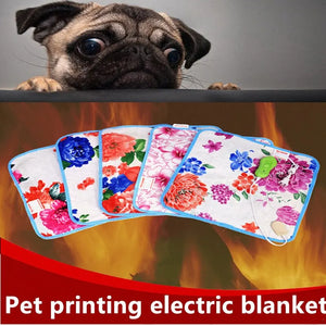 220V Electric Heating Pad Blanket 40x40/60cm Pet Mat Bed Cat Dog Winter Warmer Pad Home Office Chair Heated Mat Random Patterns