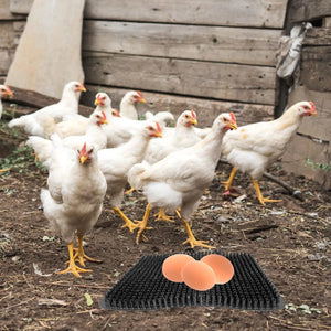 1 Piece Chicken Nesting Pads Bedding Soft Washable Reusable for Brooder Box