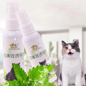 50ml Natural Health Safety Cat Mint Inducer Mint Spray Fresh Toy Spray Cat Training Inducer Cat Breathing Products P4Z9