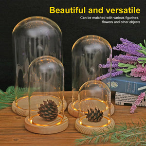 Glass Dome Wooden Base With LED Light Birthday Gift Bedroom Decor Glass Cover Landscape Vase Terrarium Container Flower Holder