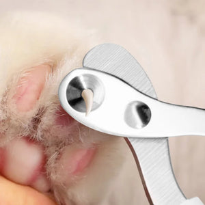 Professional Pet Nail Clipper Claw Grooming Scissors for Small Dogs Cats Accessories