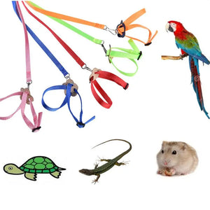 Pet Harness Reptile Leash Turtle Lizard Adjustable Outdoor Training Soft Strap Tortoise Reptile Adjustable Leashes Colorful