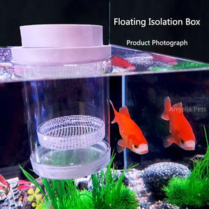 Plastic Floating Fish Breeding Isolation Box Aquarium Breeder Feeder Fish Tank Hatching Incubator Aquarium Hatchery Accessory