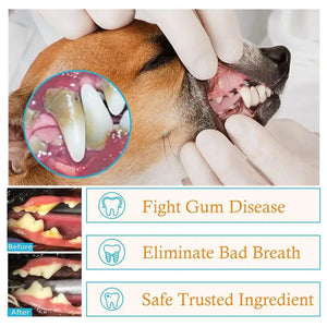 50Pcs Presoaked Dog Toothbrushes Soft Pet Fingers Toothbrush Dog Cat Cotton Brush Teeth Oral Cleaning Kitten Bad Breath Care