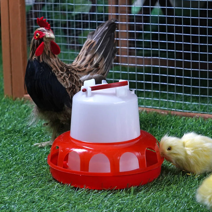 Automatic Chicken Water Feeder Bucket with Cover Quail Pigeon Feeder Chicken Feeding Bucket Poultry Animal Feeding Tools