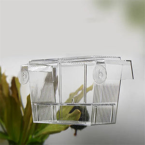 Transparent Acrylic Fish Tank Double Layer Breeding Isolation Box Aquarium Hatchery Incubator Holder